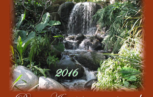 La Belle Année 2016