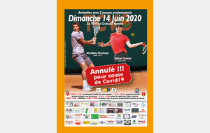 Annulation de l'animation avec 2 joueurs professionnels