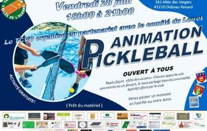 Animation PICKLEBALL le vendredi 28juin 2024