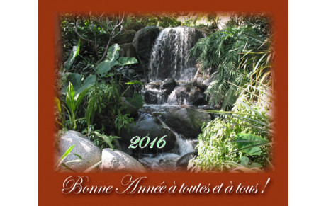 La Belle Année 2016