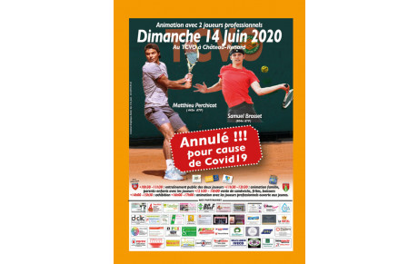 Annulation de l'animation avec 2 joueurs professionnels